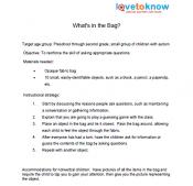 what's in the bag lesson plan