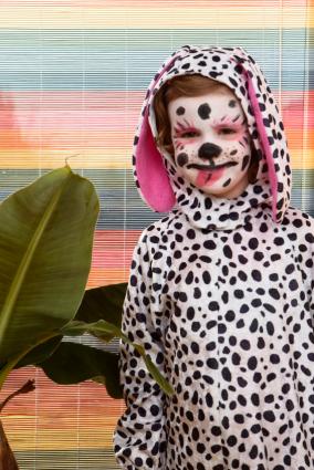 dalmation