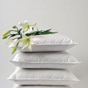 Feather Pillows