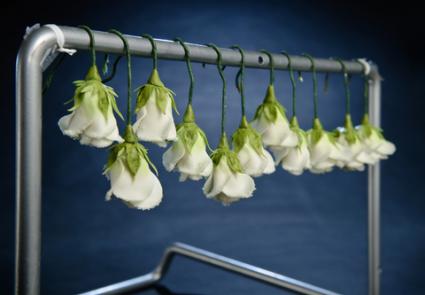 pastillage recipe pastillage recipe