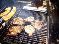 Outdoor Grill Cooking Recipes