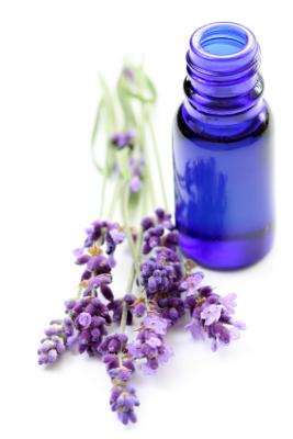 lavender essential oil