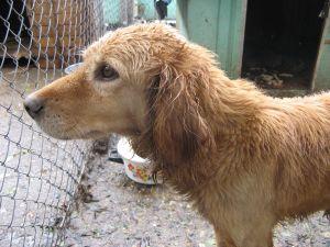 Charity Organizations List Charity Organizations List