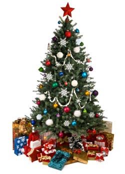 http://cf.ltkcdn.net/christmas/images/slide/761-250x347-tree01.jpg