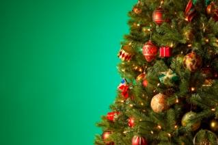 sugar water for christmas trees sugar water for christmas trees