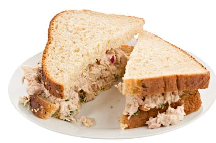 Bland diet restrictions