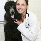 Dr. Deirdre Chiaramonte