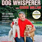 Dog Whisperer