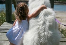 Little girl with her Great Pyrenees