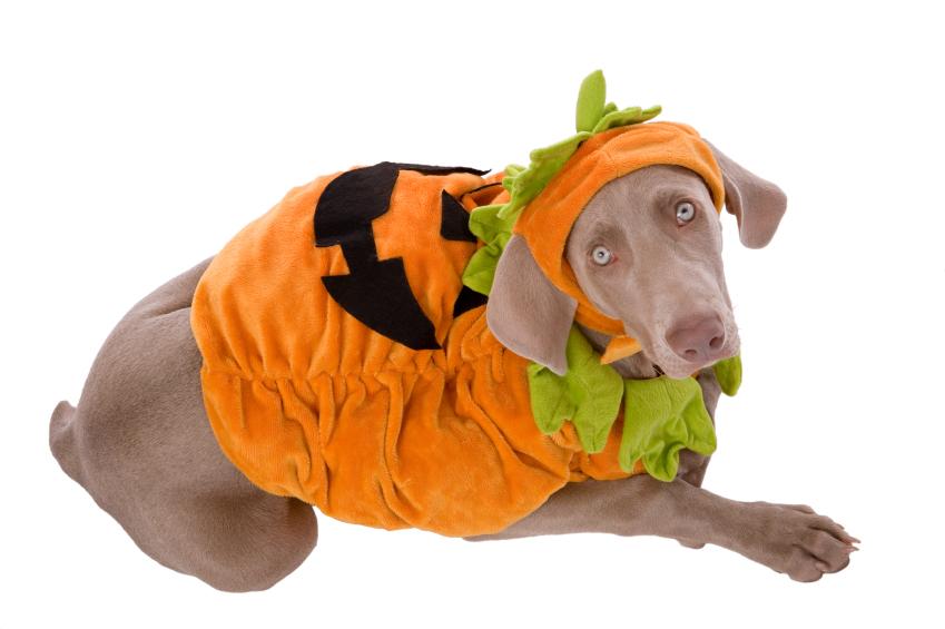 Hur får jag ett bra pensionssparande? | Nordea Sverige