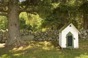 Dog House