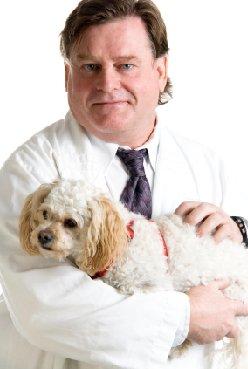 vet and dog