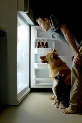 How to Cook for Your Dog