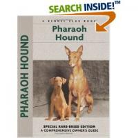 Pharaoh Hound by Juliette Cunliffe
