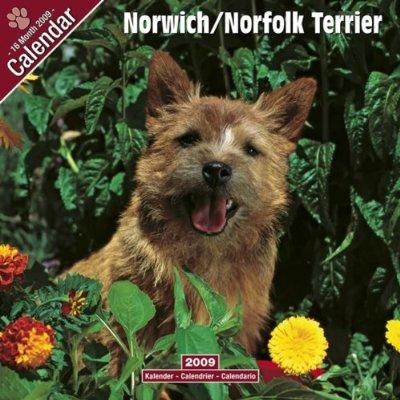 Norwich