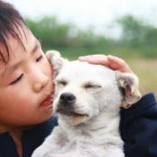 Love your dog and meet his needs.