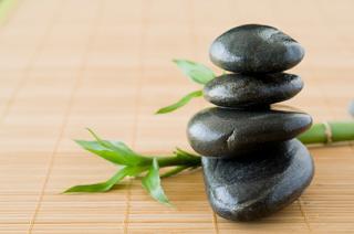 rocks and bamboo