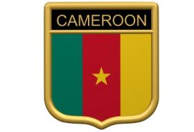 Cameroon flag