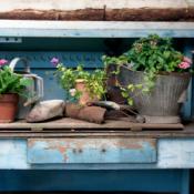 potting sols