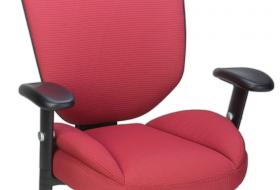 Chair Evoterra da Staples