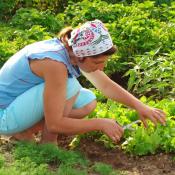 planting a vegetable garden