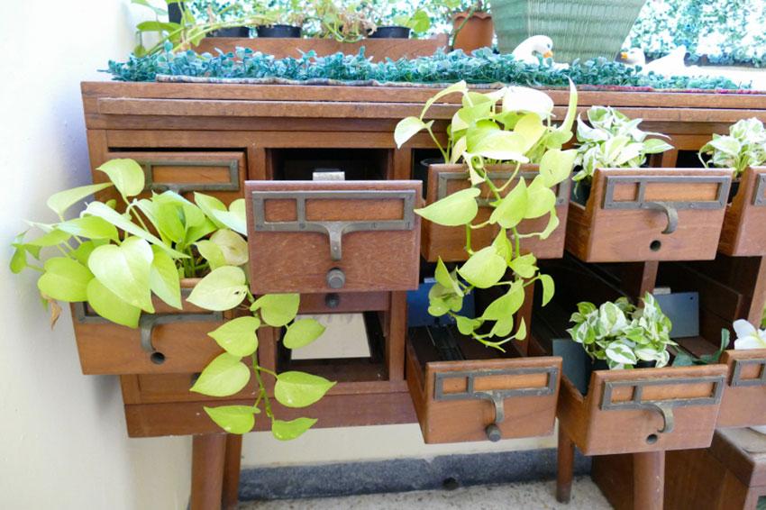 Unusual Items to Use as Planters [Slideshow]