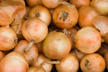 Onions