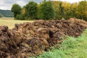 organic fertilizer organic fertilizer