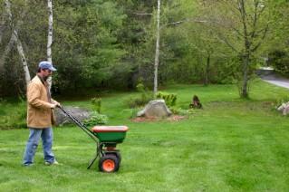 Fertilize the Lawn