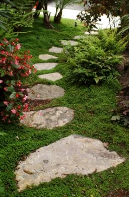 Garden,botanical gardens