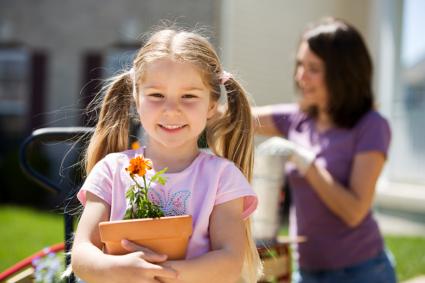Pictures of Container Garden Examples