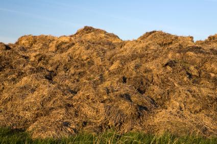 Types of Fertilizers