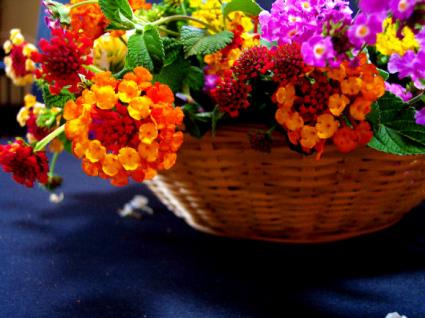 basket of flowers