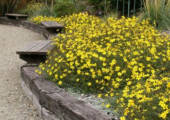 Cheap Garden Border Edging Ideas garden bed edging ideas woohome 26 Timber Edging Garden Cheap Garden Border Edging Ideas 20 cheap creative and modern garden edging ideas Timber Edging Garden