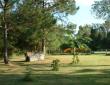 Sunny yard