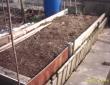 raised bed