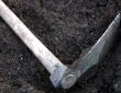 soil