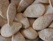 pumpkin seeds