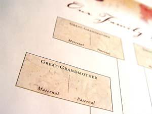 Display your research using a blank family tree.