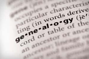Definition of genealogy