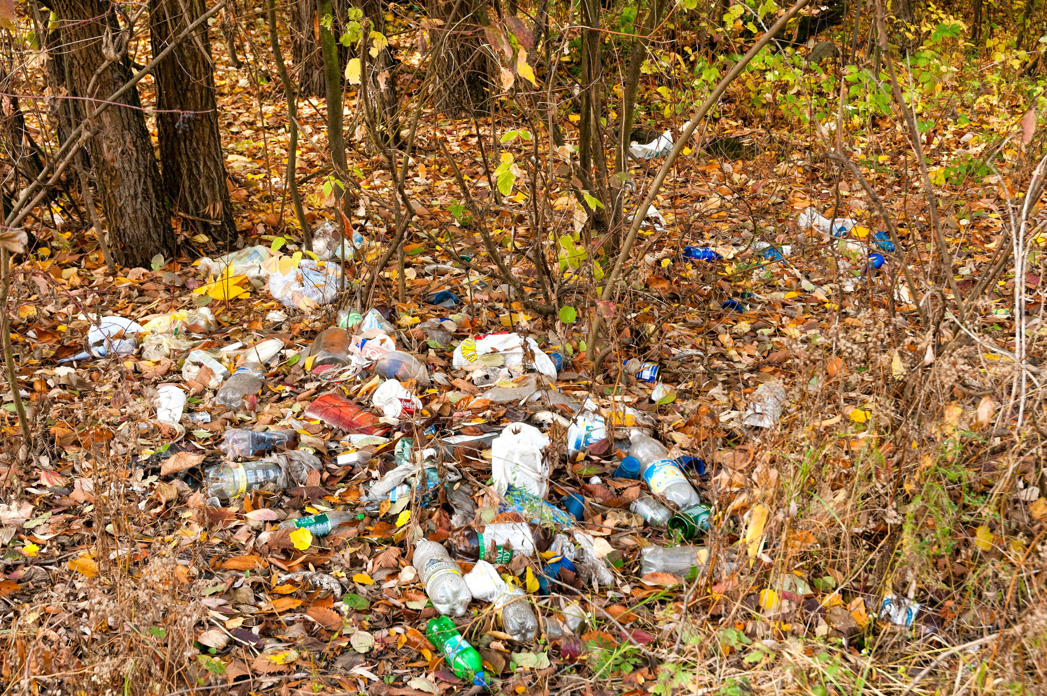 How does littering affect wildlife in the United States