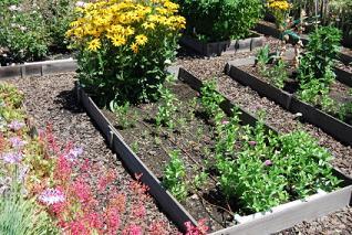 Urban garden
