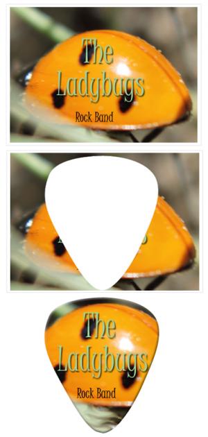 make your own guitar picks from photos