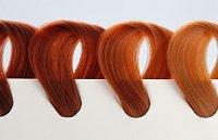  Hair Color Chart on Red Hair Color Chart