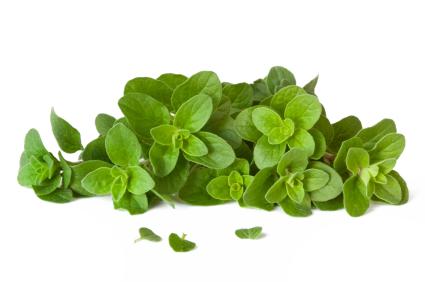 oregano leaves