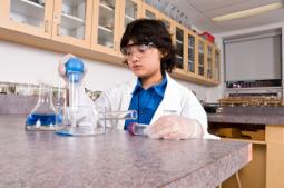 teaching cause and effect
