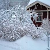 Haus im Winter