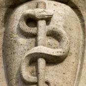 Kotas Asclepius