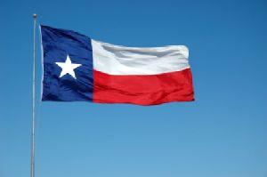 Texas Flag