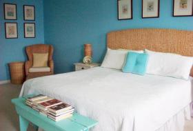 Robin egg blue bedroom